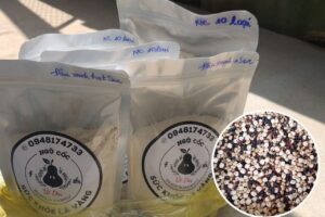 ket-luan-bot-ngu-coc-5-loai-dau-co-tac-dung-sau