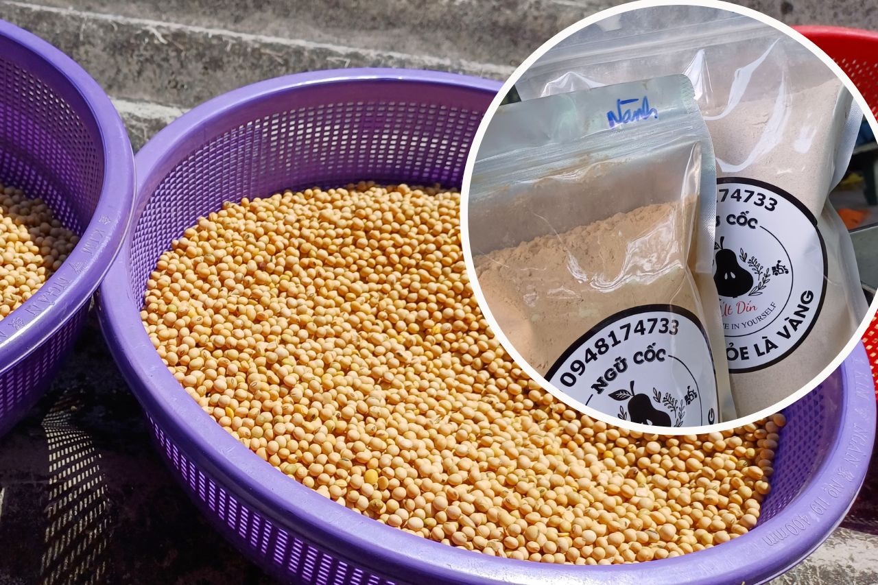 san-pham-xay-gia-cong-cua-ngu-coc-ut-din-14