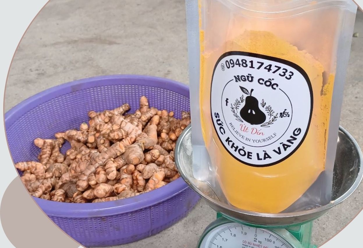 dia-chi-ban-cu-nghe-xa-cu-uy-tin-hien-nay