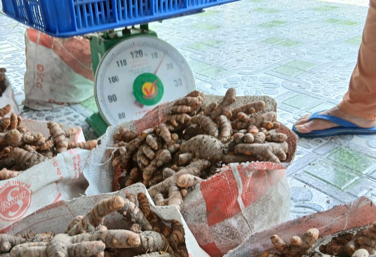 gioi-thieu-ve-cu-nghe-xa-cu